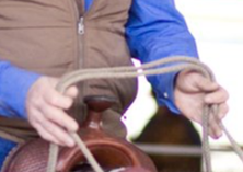 Person holding reins